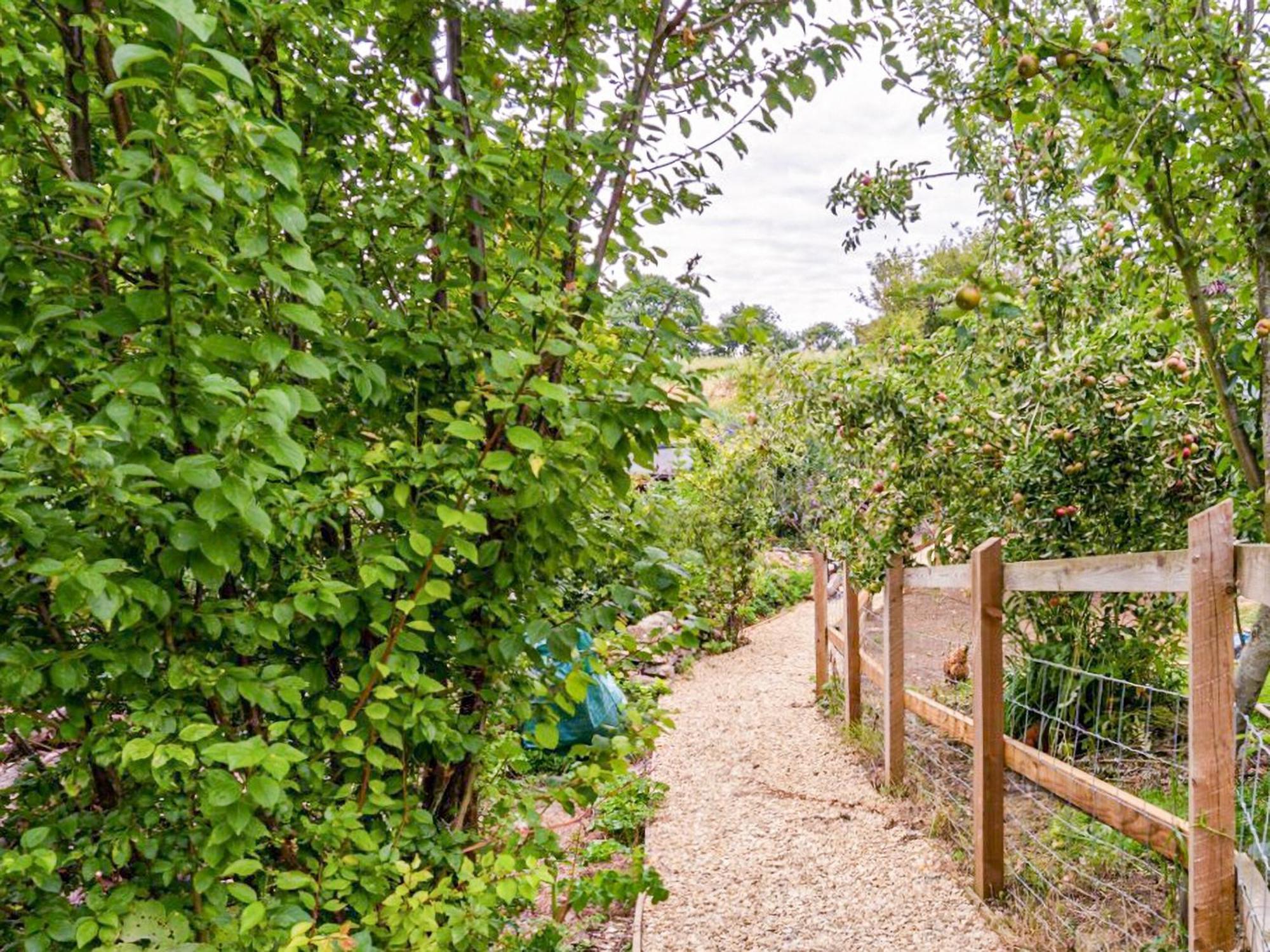 Fig Tree Shepherds Hut Bridport Exterior foto